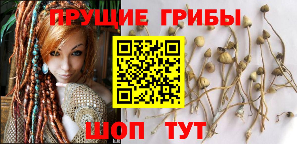 Нижний Новгород  Псилоцибиновые грибы мухоморы  Псилоцибиновые грибы ЛСД  Вход с VPN 