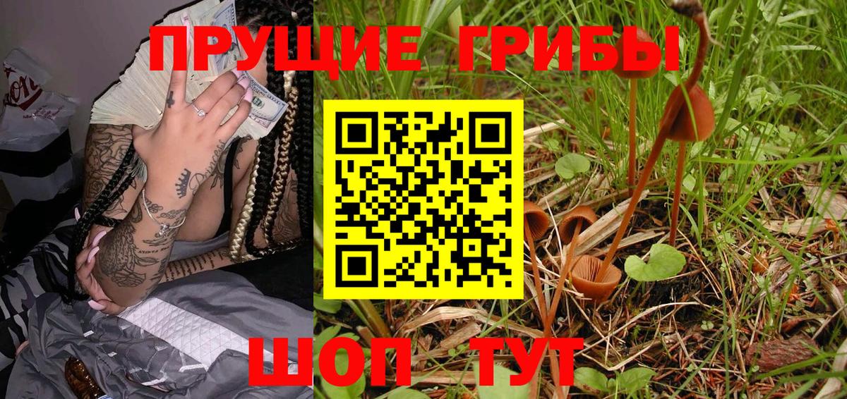 Галлюциногенные грибы Cubensis Нижний Новгород