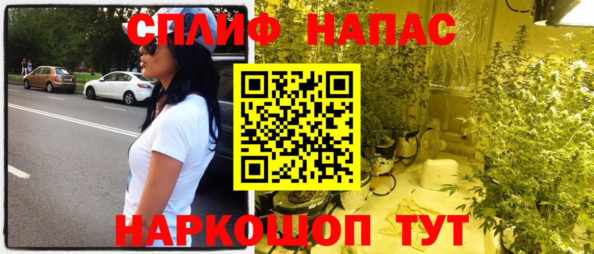 МАРИХУАНА Ganja  Каннабис сатива  Вход с VPN  Нижний Новгород 